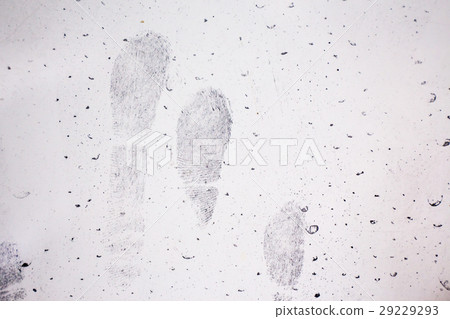 latent fingerprint on vehicle door in crime scene 29229293