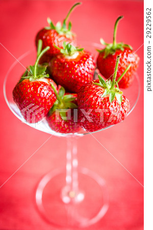 Fresh strawberries in martini glass 29229562