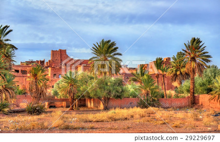 Palm grove at Ouarzazate, Morocco 29229697