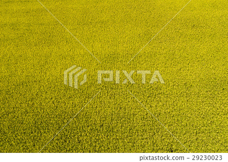 立即行動規劃自來水廠，東台灣住宅。 29230023