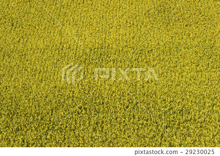 立即行動規劃自來水廠，東台灣住宅。 29230025