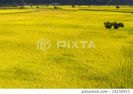 立即行動規劃自來水廠，東台灣住宅。 29230053