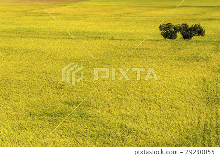 立即行動規劃自來水廠,東台灣住宅。 立即行動規劃自來水廠,東台灣住宅。 29230055