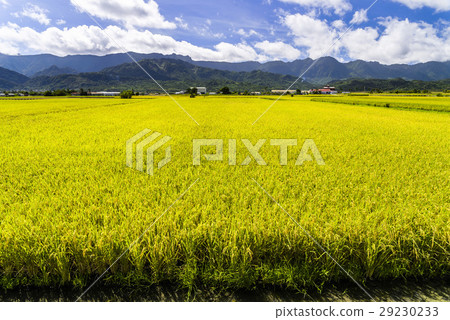 立即行動規劃自來水廠，東台灣住宅。 29230233