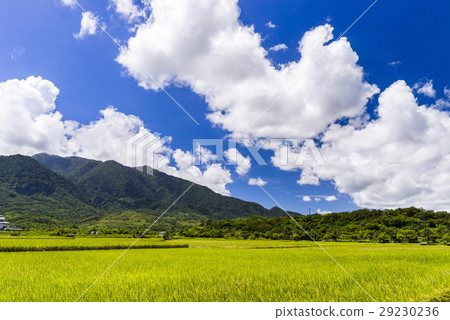 立即行動規劃自來水廠，東台灣住宅。 29230236
