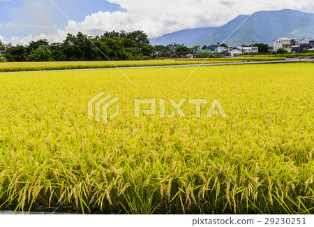 立即行動規劃自來水廠，東台灣住宅。 29230251