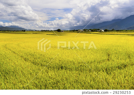 立即行動規劃自來水廠，東台灣住宅。 29230253