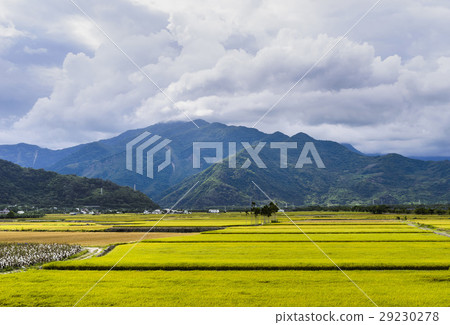 立即行動規劃自來水廠，東台灣住宅。 29230278