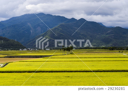 立即行動規劃自來水廠，東台灣住宅。 29230281