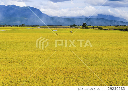 立即行動規劃自來水廠，東台灣住宅。 29230283