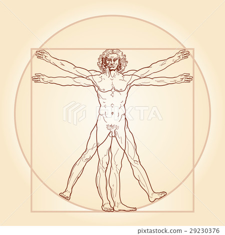 The Vitruvian man (Homo vitruviano) 29230376
