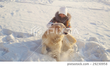 Young beautiful happy girl plays with a retriever Young beautiful happy girl plays with a retriever 29230958