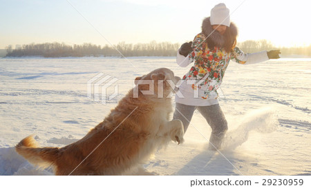 Young beautiful happy girl plays with a retriever Young beautiful happy girl plays with a retriever 29230959