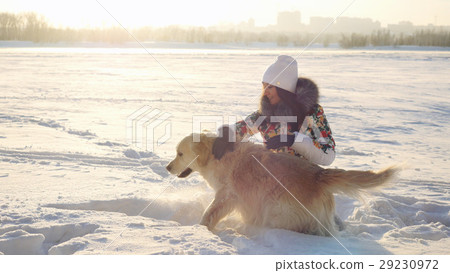 Young beautiful happy girl plays with a retriever Young beautiful happy girl plays with a retriever 29230972