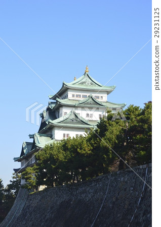 Nagoya Castle (Nagoya city, Aichi) Nagoya Castle (Nagoya city, Aichi) 29231125