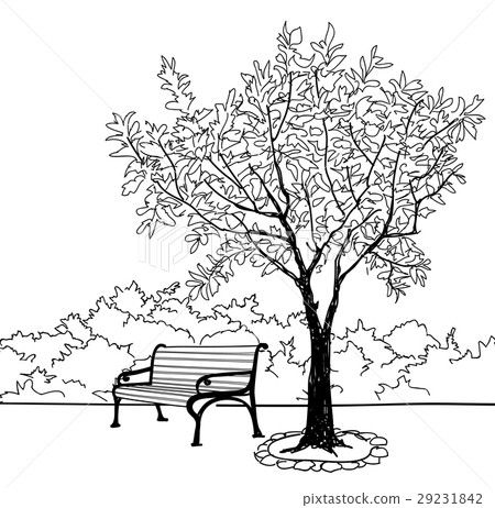 Bench in park with tree. City park landscape Bench in park with tree. City park landscape 29231842