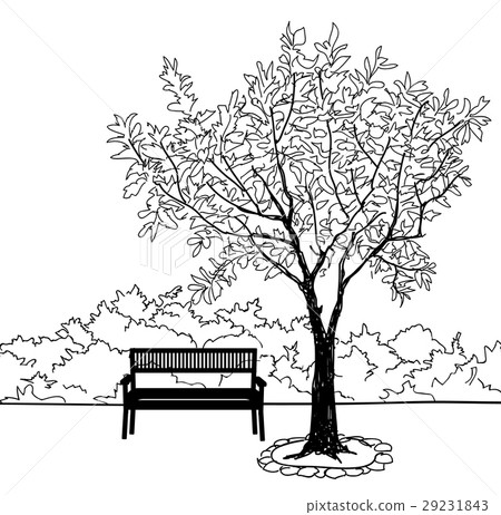 Bench in park with tree. City park landscape Bench in park with tree. City park landscape 29231843