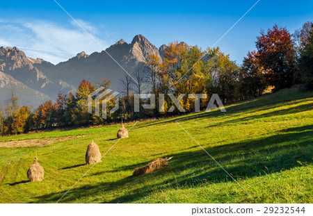 mountain rural area in autumn mountain rural area in autumn 29232544