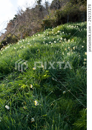 Nada Kuroiwa Water Sengoku Nada Kuroiwa Water Sengoku 29233178