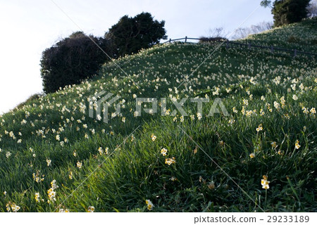 Nada Kuroiwa Water Sengoku Nada Kuroiwa Water Sengoku 29233189