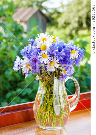 bouquet of blue cornflowers and daisies in a jug bouquet of blue cornflowers and daisies in a jug 29233563