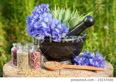 mortar with blue cornflowers, sage and bottles 29233566
