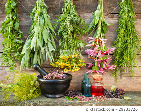 bunches of healing herbs on wooden wall 29233720