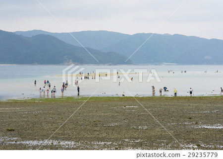 奄美大島春天的春潮,遊客前往隱藏的海灘(Nabama) 奄美大島春天的春潮,遊客前往隱藏的海灘(Nabama) 29235779