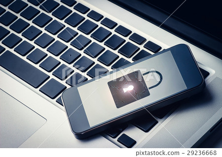 安全系統 29236668