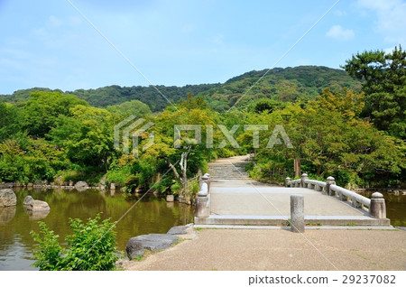 Pond in Maruyama park and stone bridge 29237082