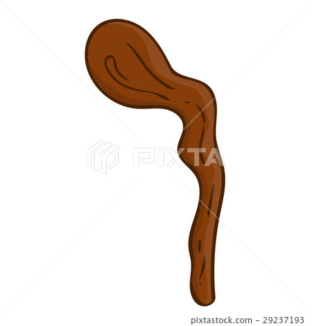 Walking stick isolated illustration Walking stick isolated illustration 29237193