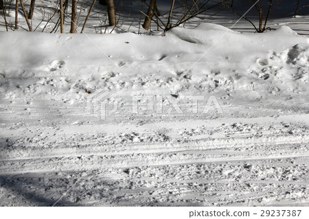 Russian winter ski Track in pine forest 30314 Russian winter ski Track in pine forest 30314 29237387