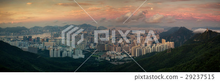 Landscape of Hong kong and Kowloon  29237515