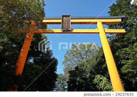 Kawagoe Hikawa Shrine的Otorii 29237635
