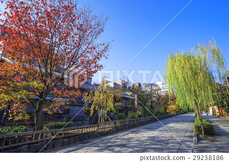 Gion Autumn's Shirakawa Nantong Gion Autumn's Shirakawa Nantong 29238186