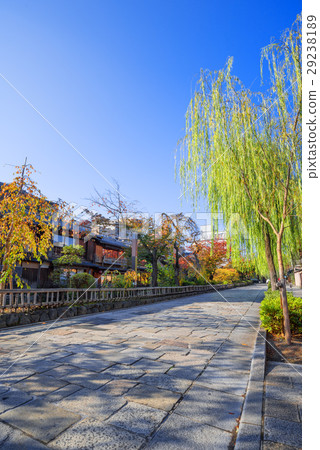 Gion Autumn's Shirakawa Nantong 29238189