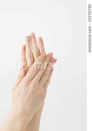 Women's hand image 29238190