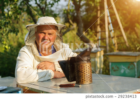 Beekeeper is working with bees and beehives on the Beekeeper is working with bees and beehives on the 29238413