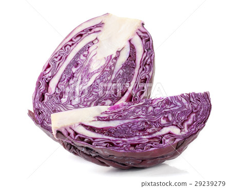 cut red cabbage isolated on white background cut red cabbage isolated on white background 29239279