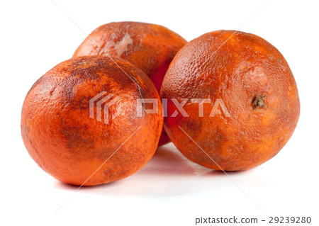 three damaged tangerine isolated on white three damaged tangerine isolated on white 29239280