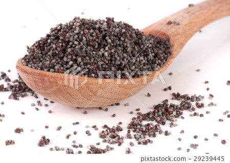 poppy seeds in a wooden spoon isolated on white 29239445