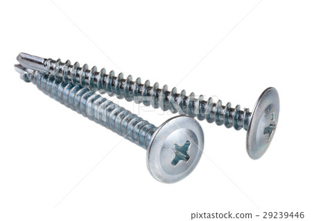 two metal screws isolated on white background two metal screws isolated on white background 29239446