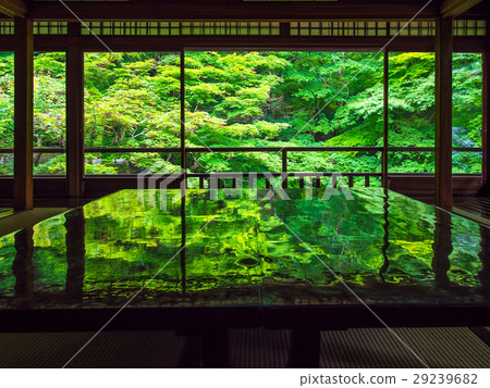 Furugen Rurikoin 29239682