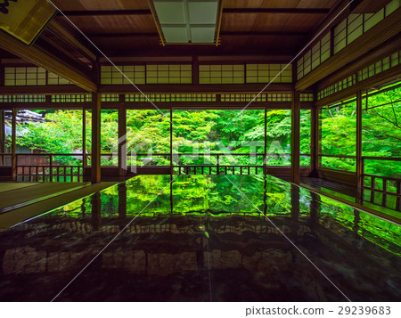 Furugen Rurikoin 29239683