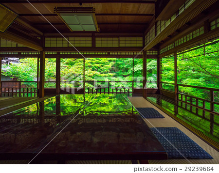 Furugen Rurikoin 29239684