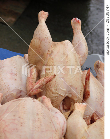 raw chicken carcasses sold in the market counter raw chicken carcasses sold in the market counter 29239747