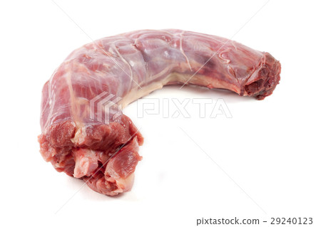 raw turkey neck isolated on white background 29240123