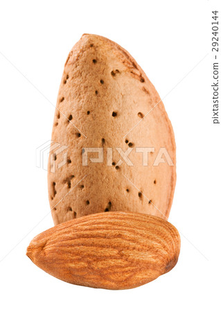 two almond nut isolated on white background close 29240144