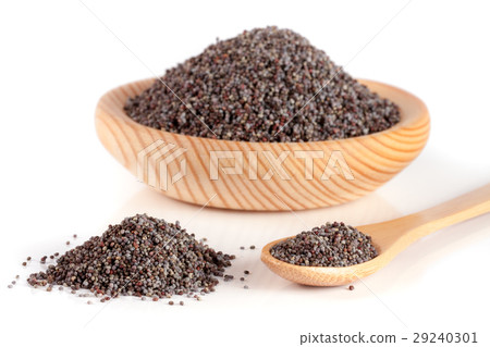 poppy seeds in a wooden bowl and spoon isolated on 29240301