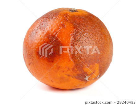 one damaged tangerine isolated on white background 29240482